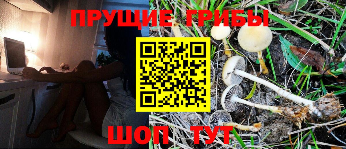 Карталы  Галлюциногенные грибы Magic Shrooms  Вход с VPN 