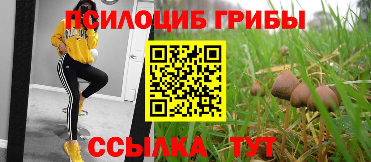 Псилоцибиновые грибы прущие грибы Карталы